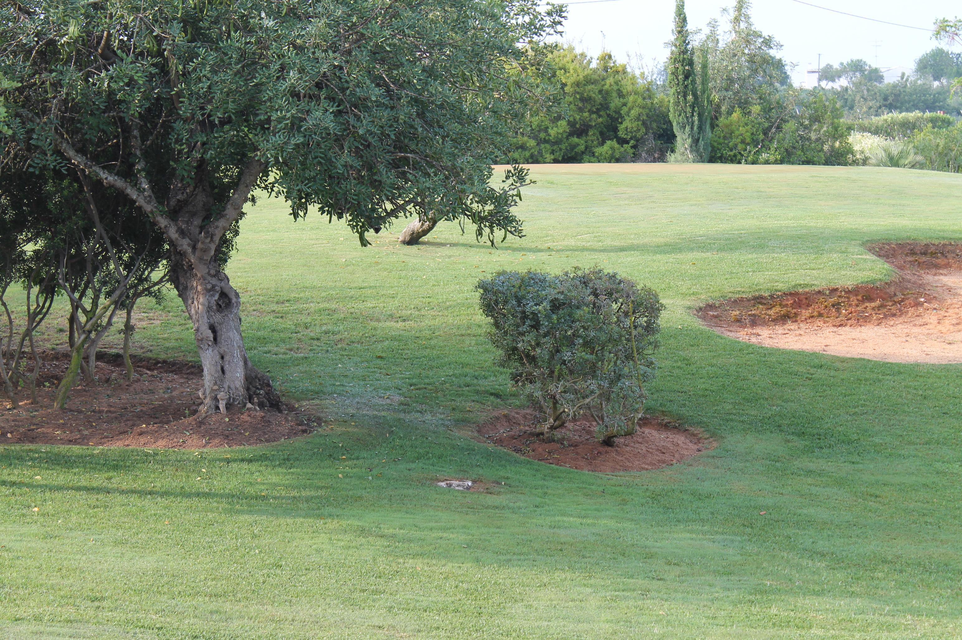 Quinta Dos Poetas Nature Hotel & Apartments Pechao Luaran gambar